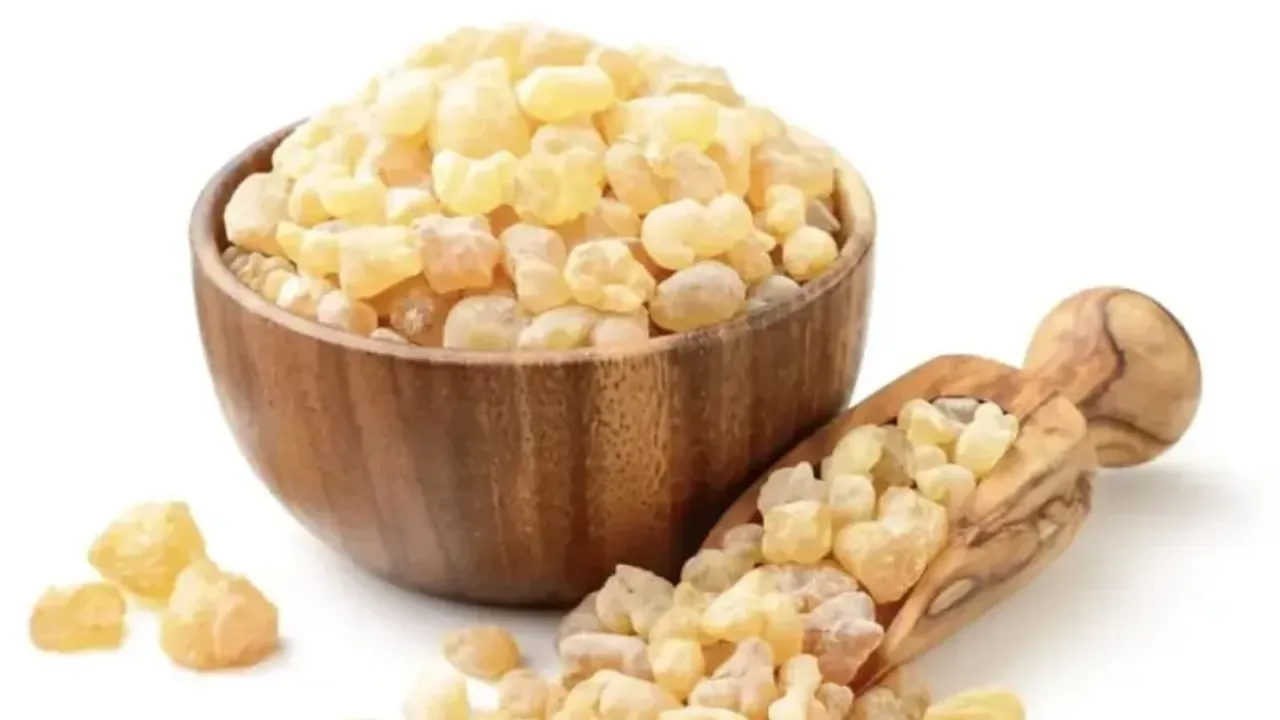 Ak Günlük Sakızı